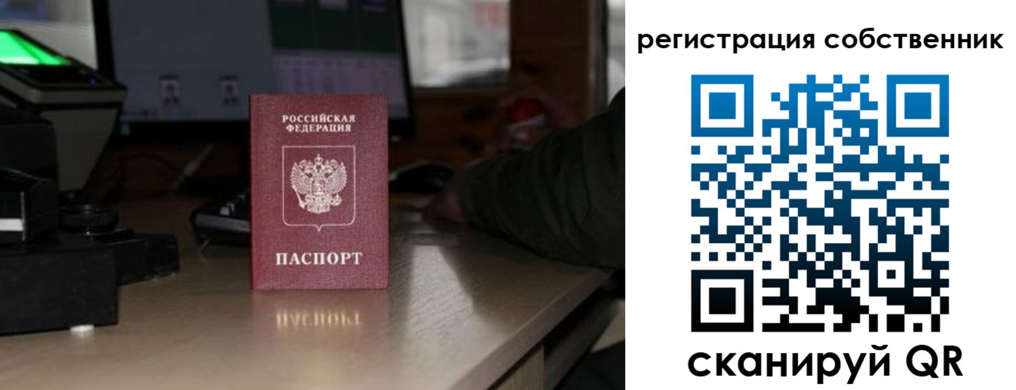 прописка поиск в Липецке